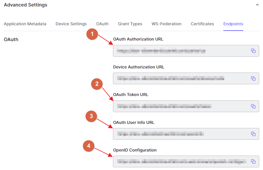 Advanced Settings - Endpoints