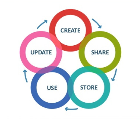 Knowledge Management Life Cycle